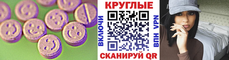 дарнет шоп Бакал Экстази бентли