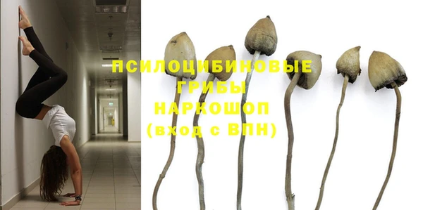 гашиш Новодвинск